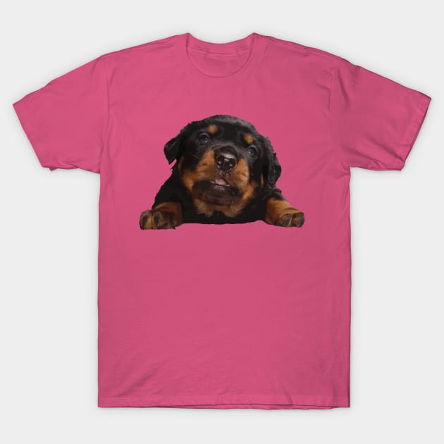 Cute Baby Rottweiler Isolated Cut Out T-Shirt by taiche